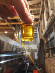 Sample bottle of maple syrup